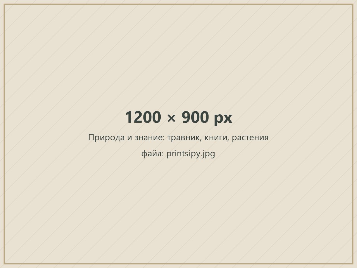 Природа и знание