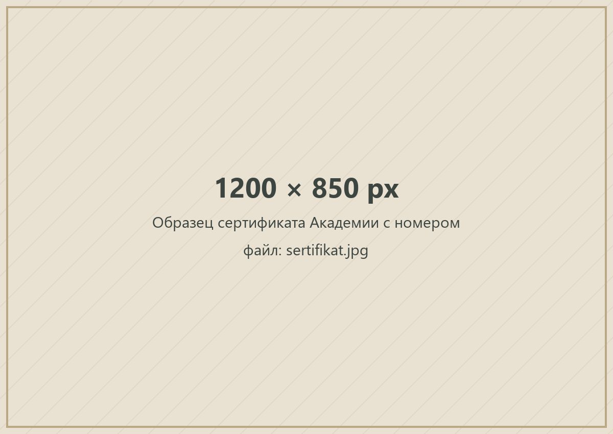 Образец сертификата Академии с номером